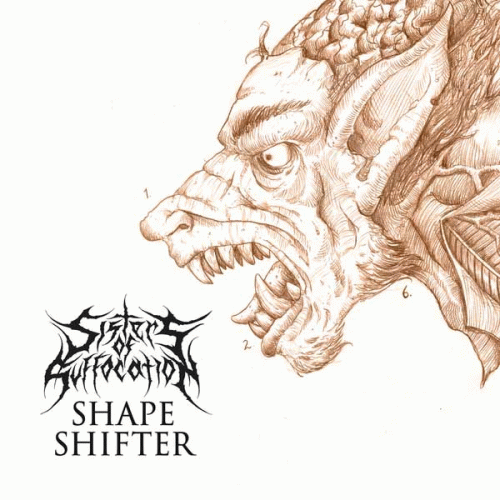 Sisters Of Suffocation : Shapeshifter